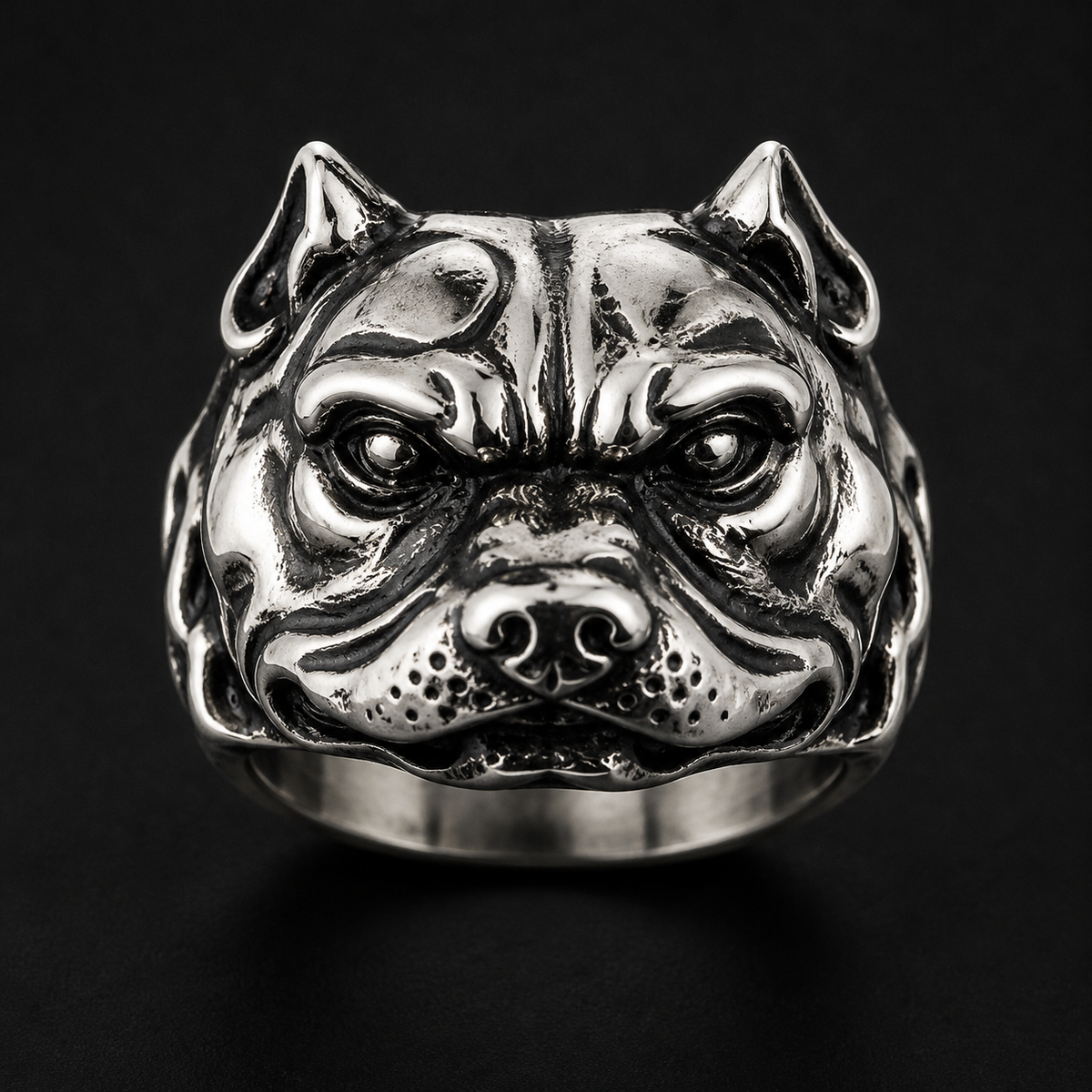 Pitbull
